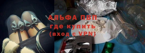 индика Рославль