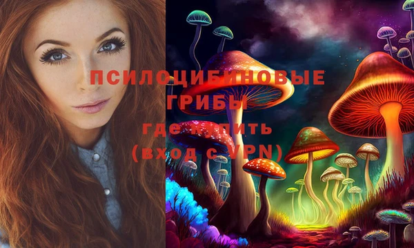 прущий лед Верея