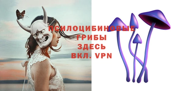 гидра Володарск