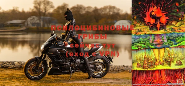 ALPHA PVP Волосово