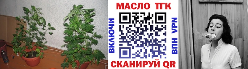 ТГК THC oil  продажа наркотиков  Карасук 